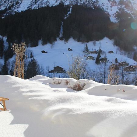 Chalet Pfingsteggblick Grindelwald Exterior foto