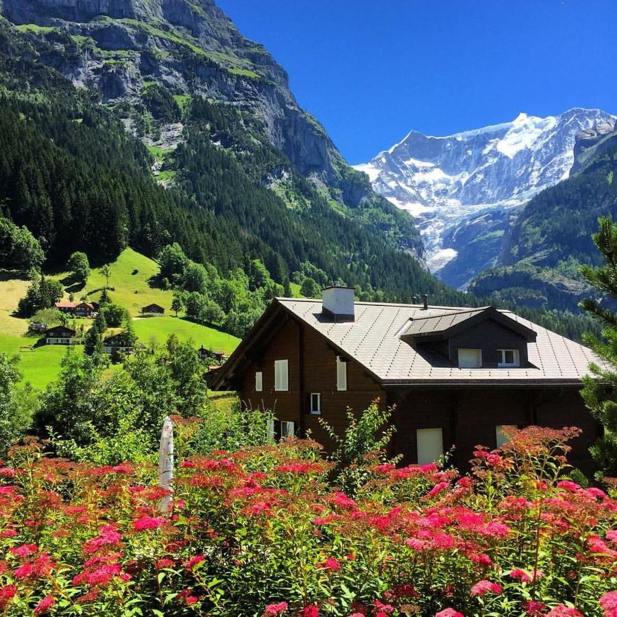 Chalet Pfingsteggblick Grindelwald Exterior foto