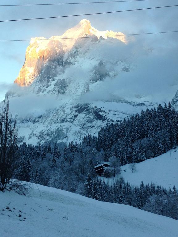 Chalet Pfingsteggblick Grindelwald Exterior foto
